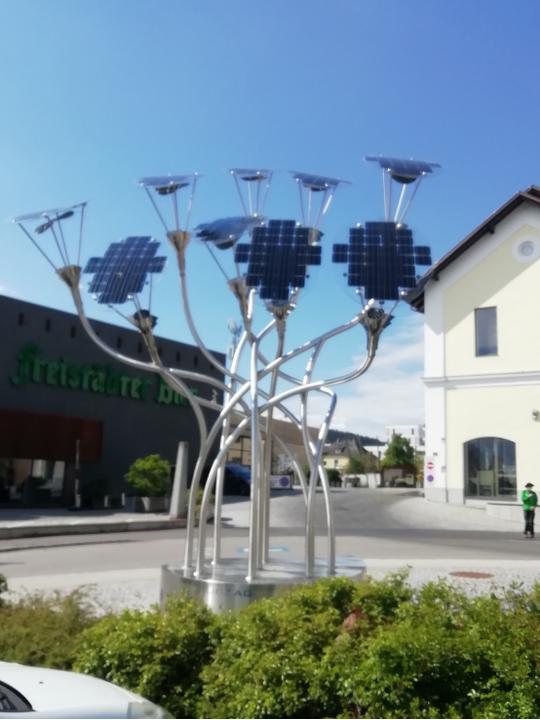 Stadt_Solarsonnenblume_20210531_155510