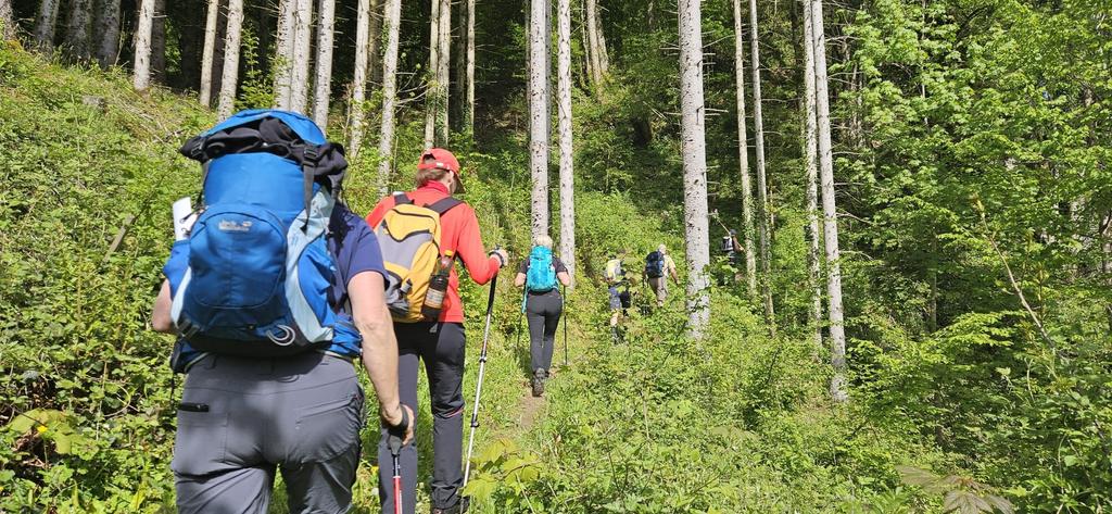 Pilgern im Wald