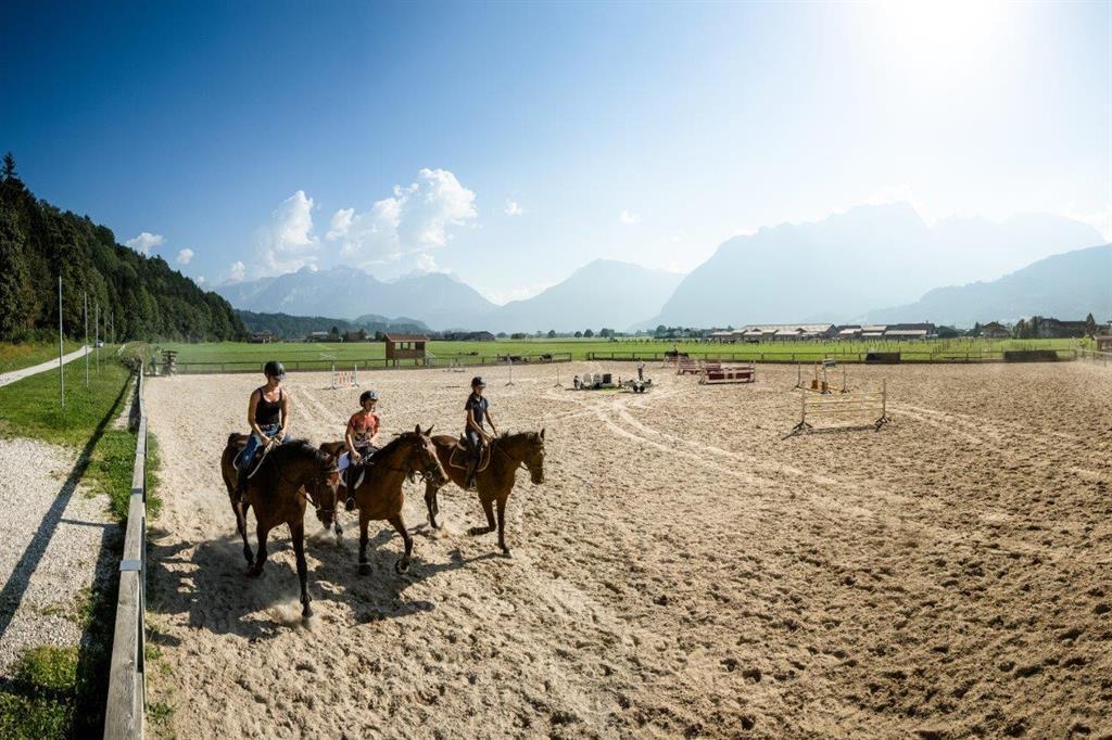 Reiten in Kuchl