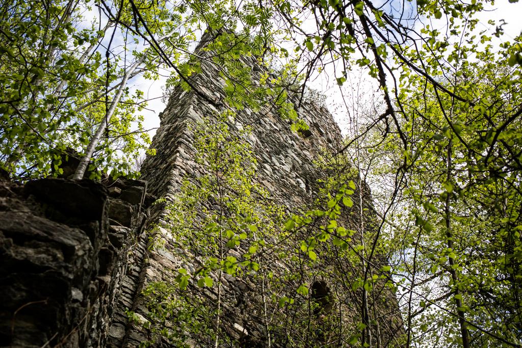 Burgruine Hochwart Außenansicht.