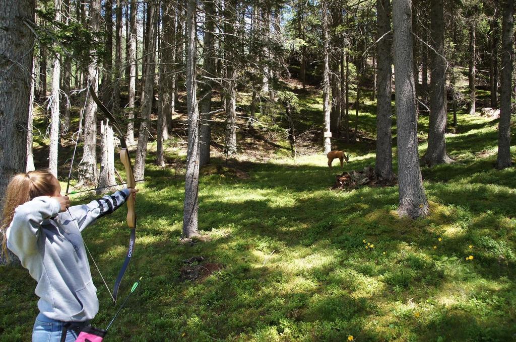 Bogenparcours Hood Wood Sommer