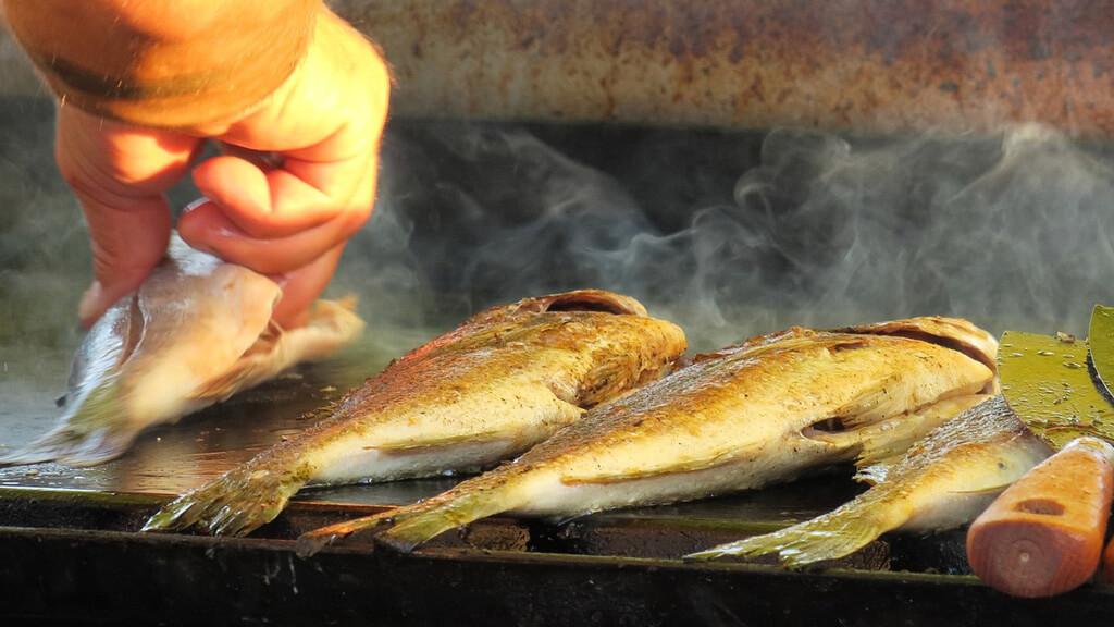 Grillfische