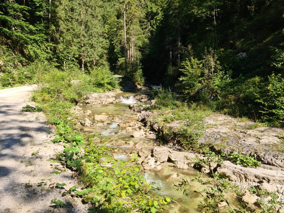 Vorder- und Hinterrinnbachtal (14)