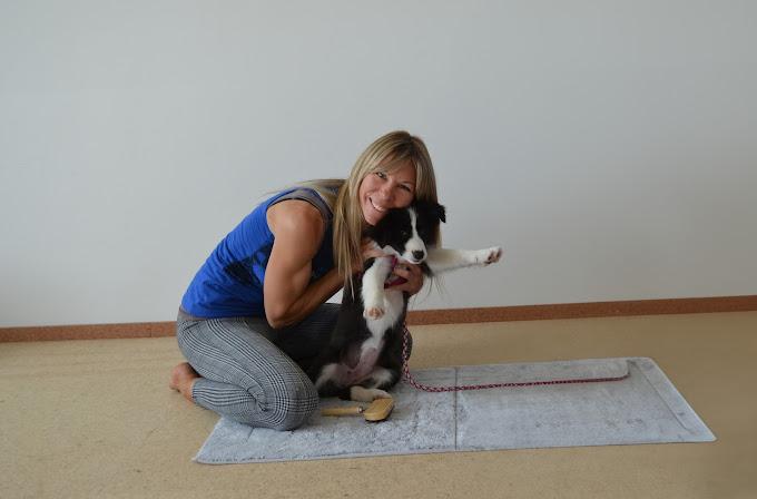 Hundetrainerin Sabrina Pfeiffer - Hundeschule Neustift