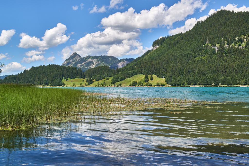 Haldensee