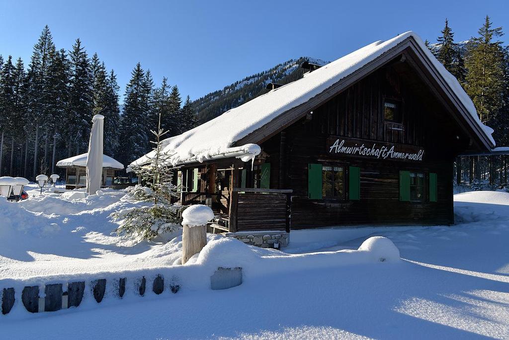 Ammerwald Alm Winter