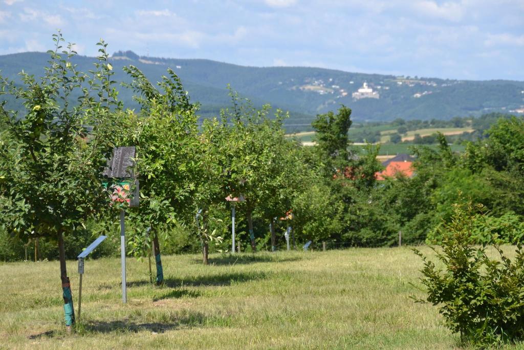 Obstsortengarten