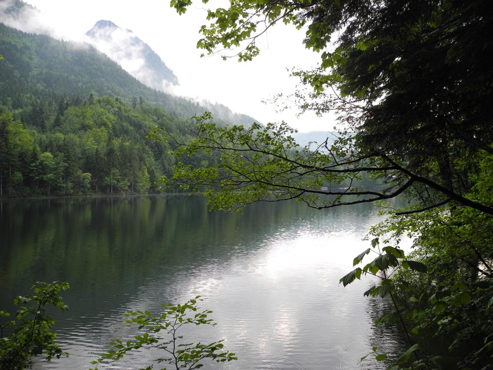 Nussensee Bad Ischl
