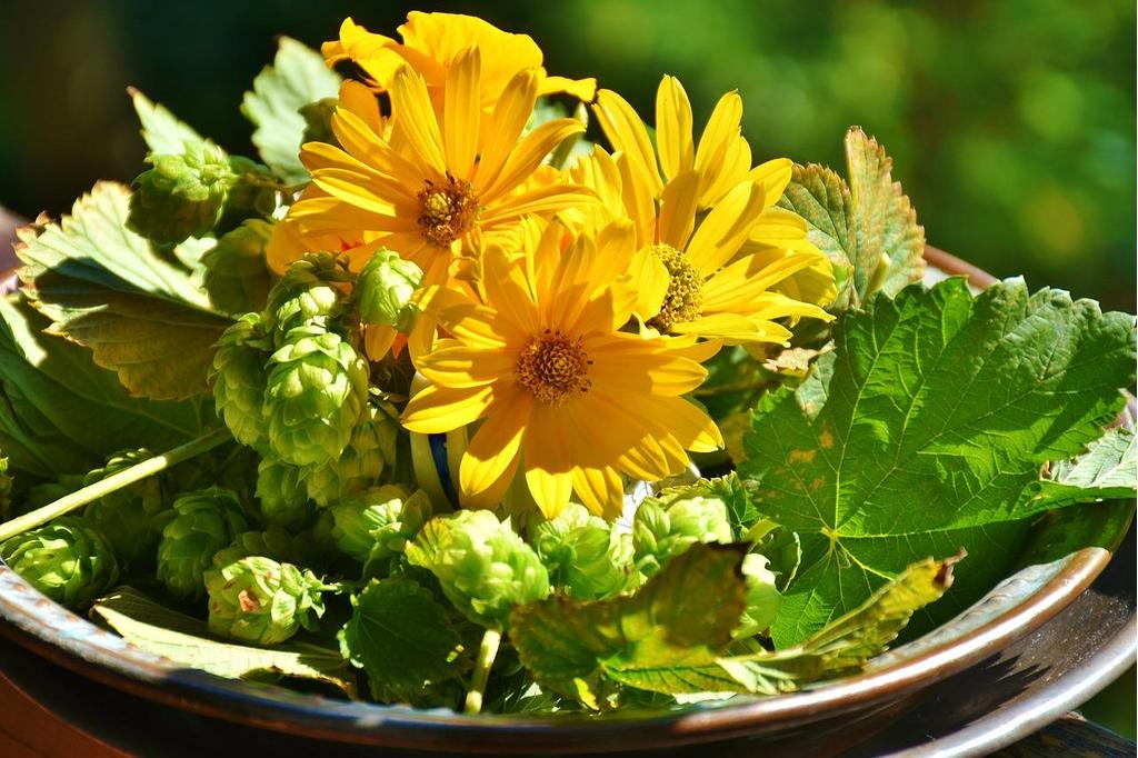 Hopfen_Blumenarrangement_Oststeiermark