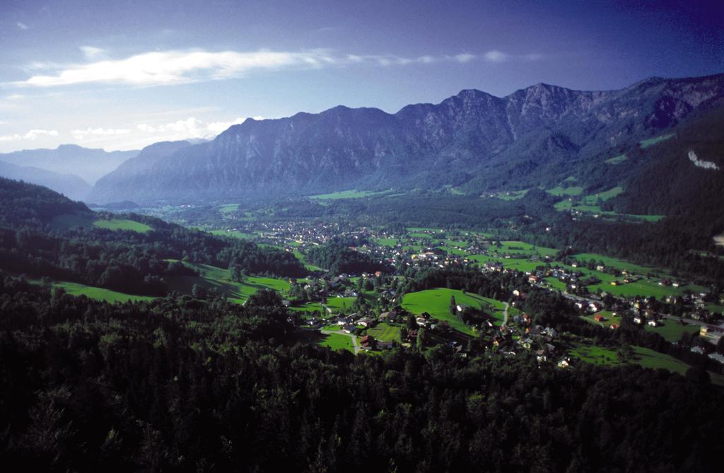Blick auf das Goiserertal