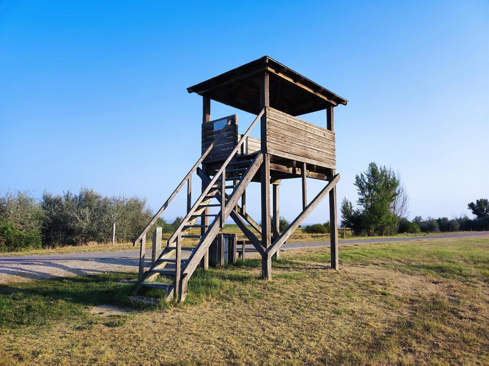 Aussichtsturm bei den Mangalitzaschweinen