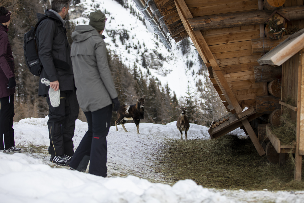 -c--tvb-tiroler-oberland-daniel-zangerl-winterwandern-kobl-2019-53-_584277182.png