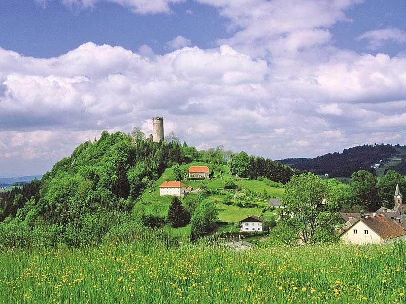 Burgruine Waxenberg