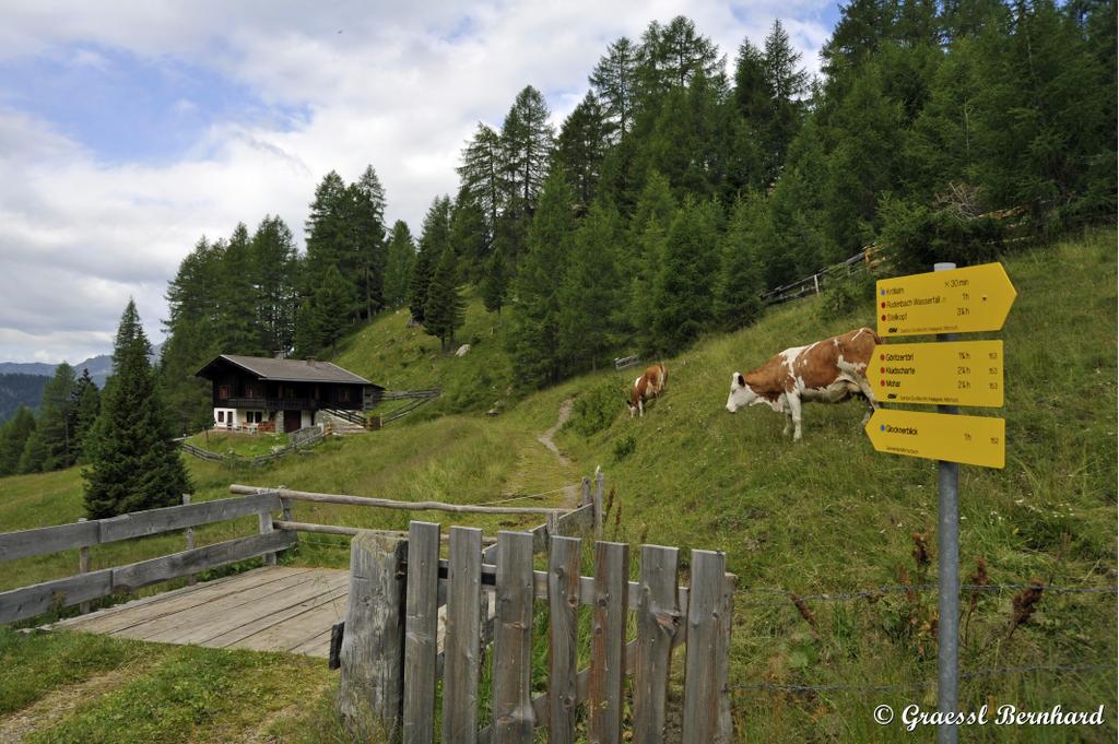 Das Sadnighaus ist der hochgelegene Ausgangsort, von denen leichte Wanderwege zu den Gipfeln führen, die sich zu einer schönen Runde verbinden lassen.