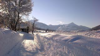 Winterwandern