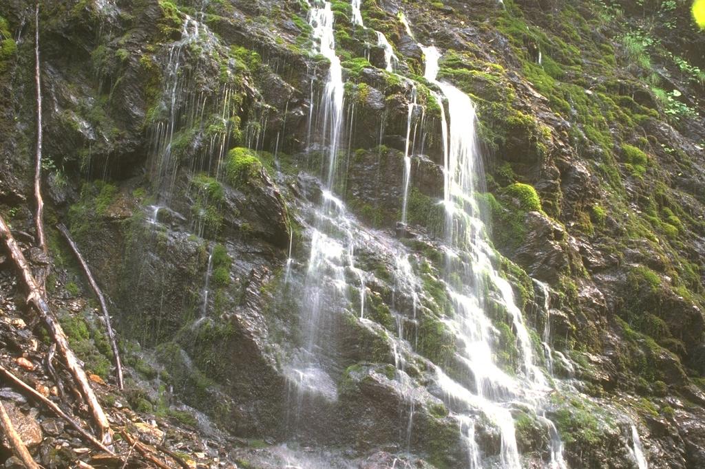 Moosdusche in der Mauthner Klamm