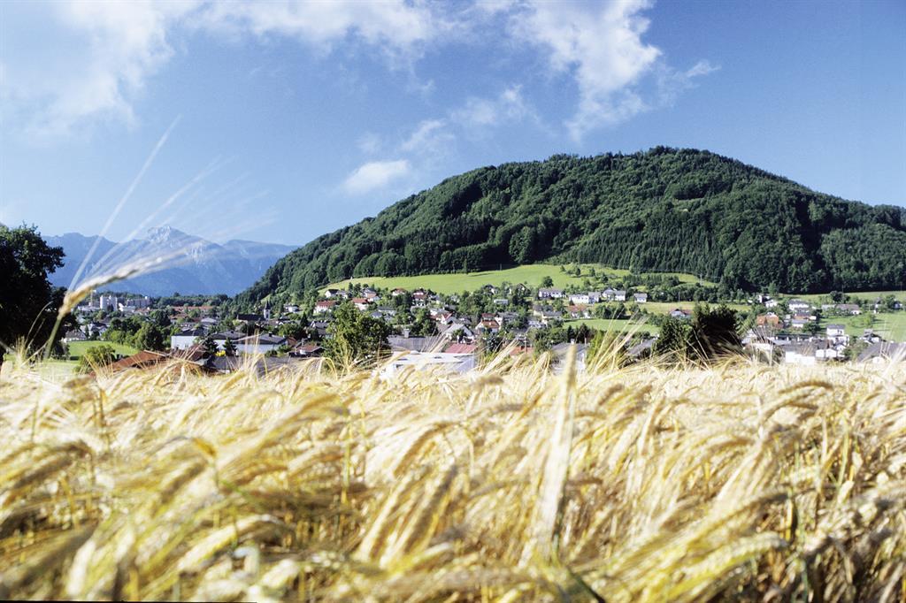 Pinsdorf