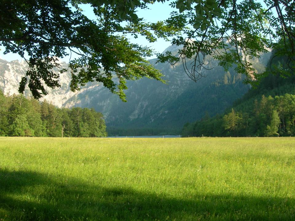 Blick Richtung Offensee