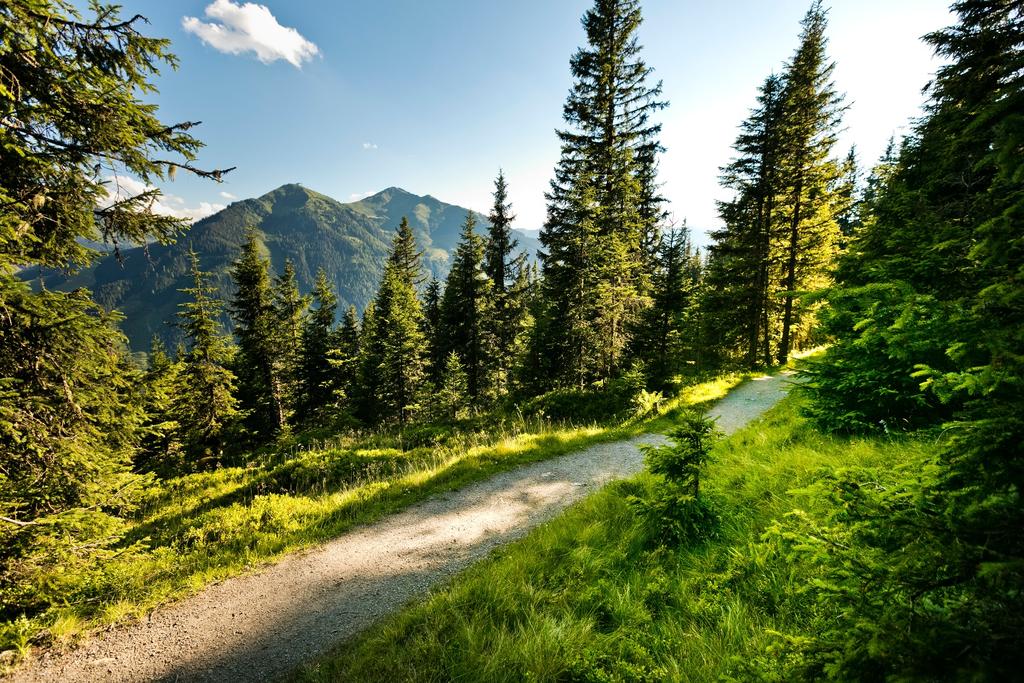 Wandern am Reiterkogel