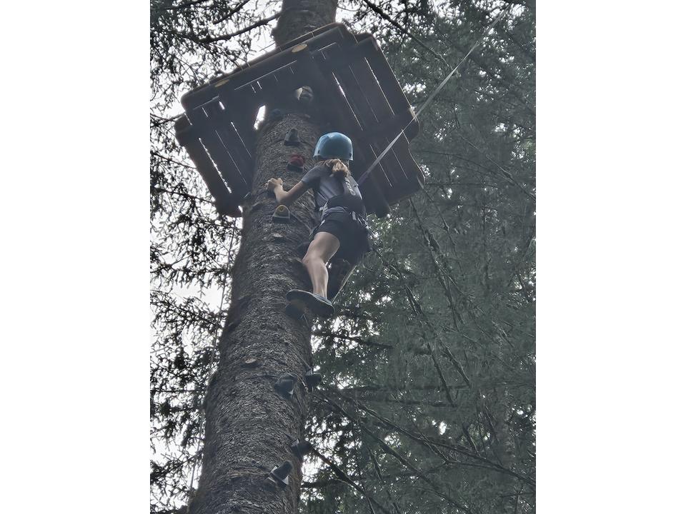 Hochseilparkour