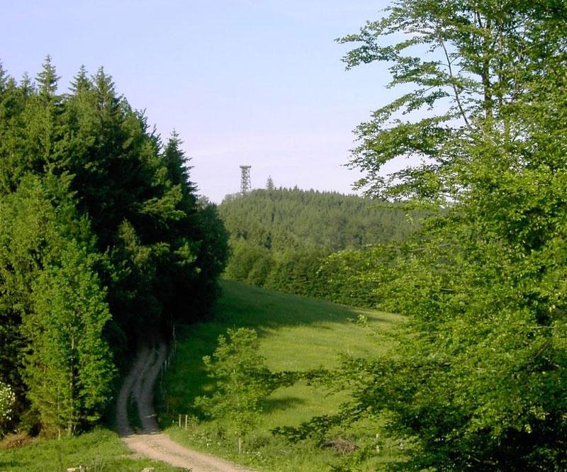 Mediendatei