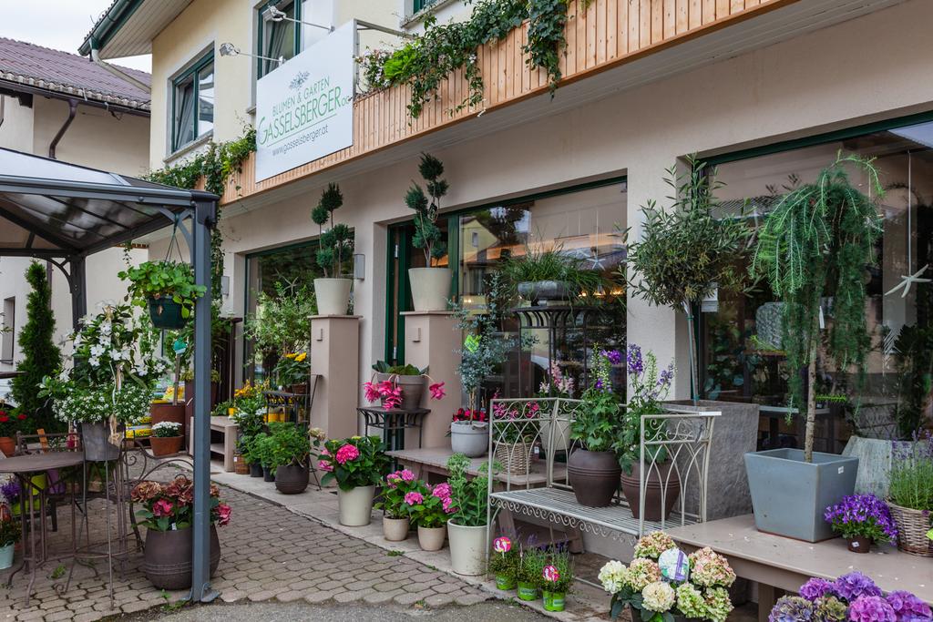 Blumen und Garten Gasselsberger