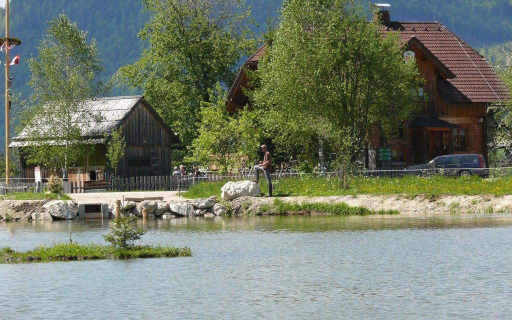 Fischen im Stiegerteich