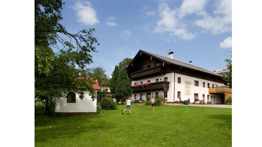 Friedlbauer