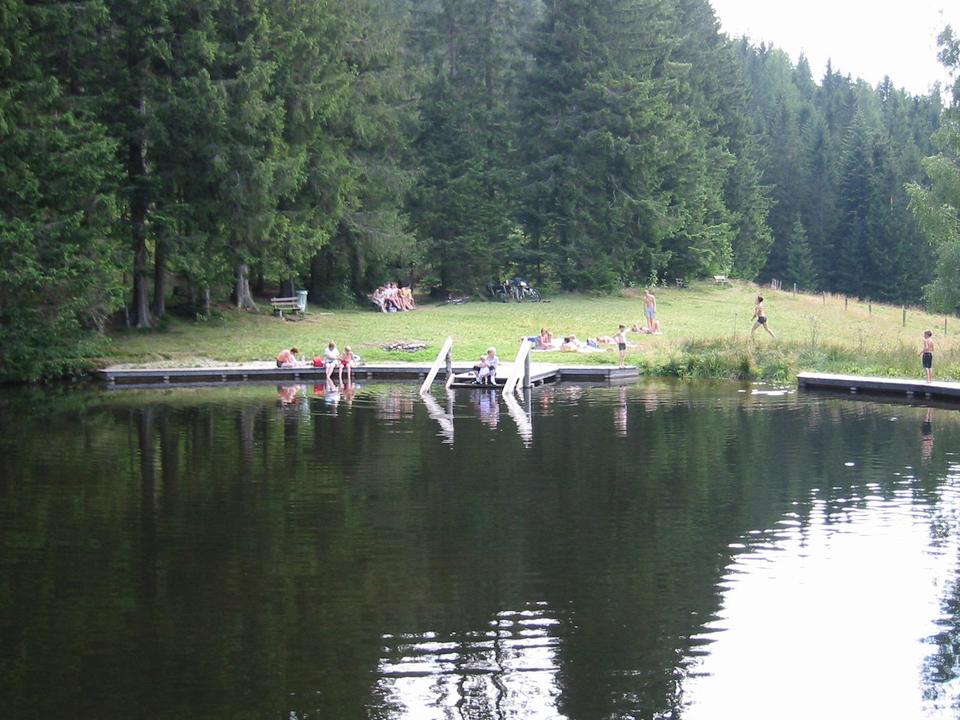 Naturbadeteich Rettenegg_Teich_Oststeiermark