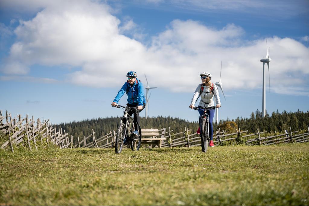 E-Bike Verleih_Radfahrer auf Pretul_Oststeiermark
