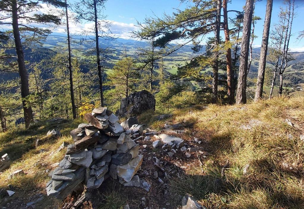 Patscha-Nase_Weiz_Oststeiermark