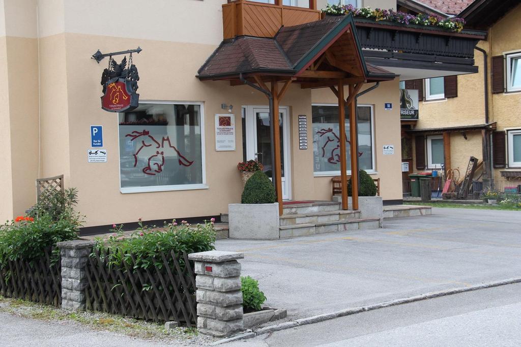 eingangsbereich-tierarzt-praxis-altenmarkt