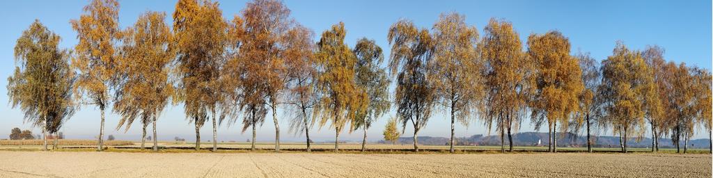 Panorama_Reichersberg_Birken_©SINNVIERTEL Tourismus_Andreas Muehlleitner.jpg