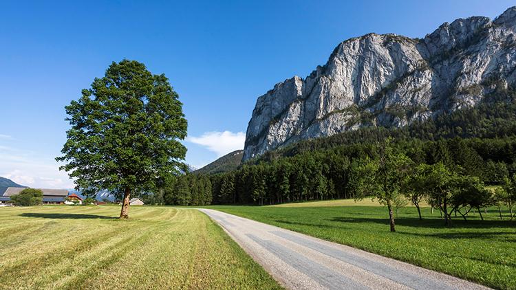 An der Drachenwand