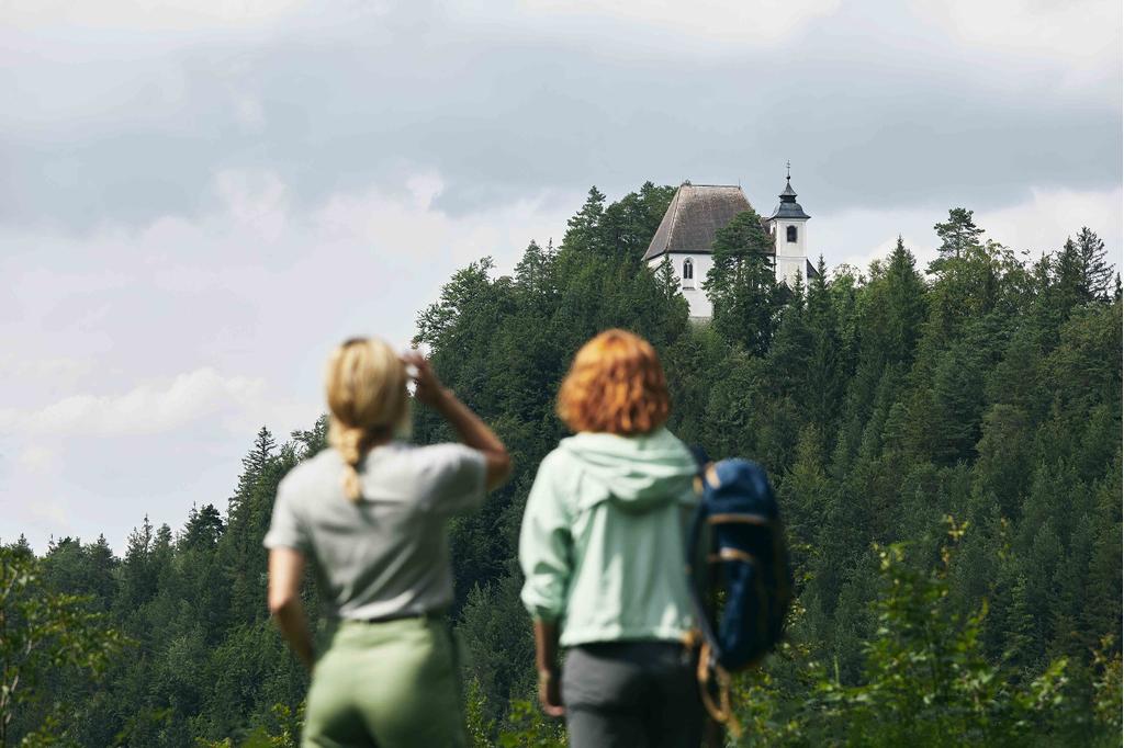 Wandern am Sebaldusweg