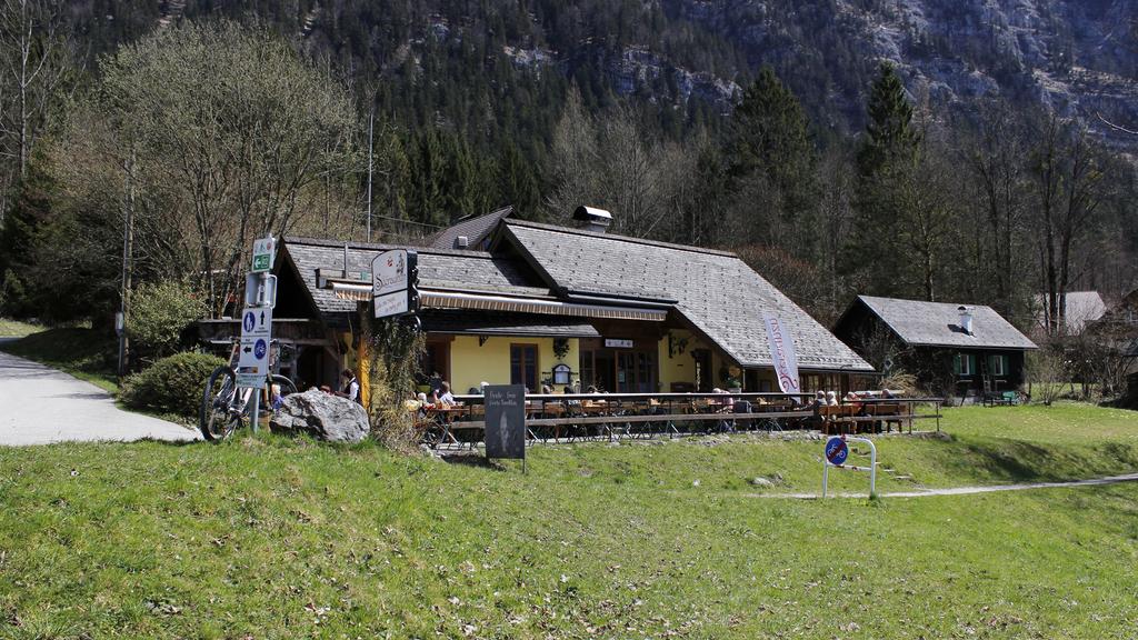 Uferwirt Seeraunzen im Frühling