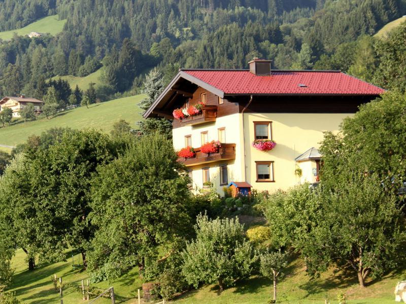 Haus