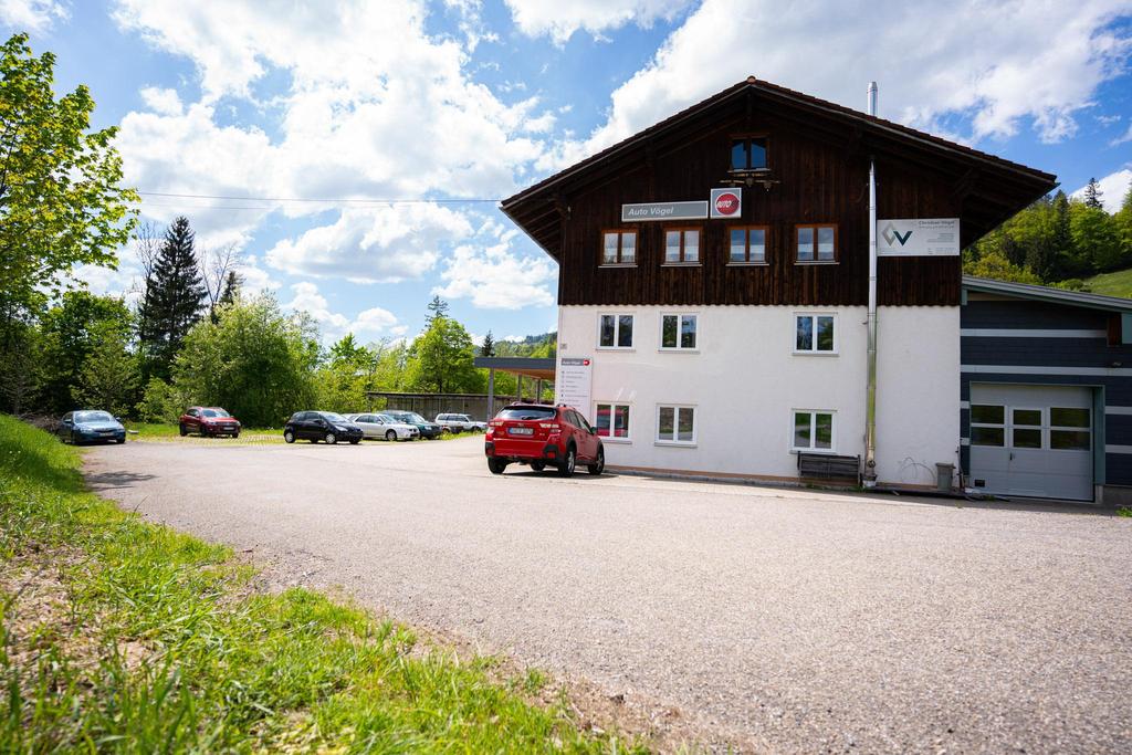 Auto Vögel