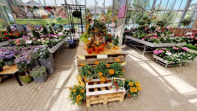 Blumen Schilcher