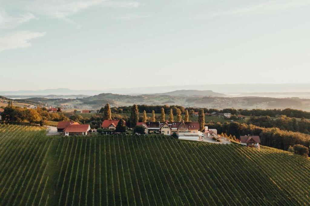 Ansicht Weingut Pichler-Schober