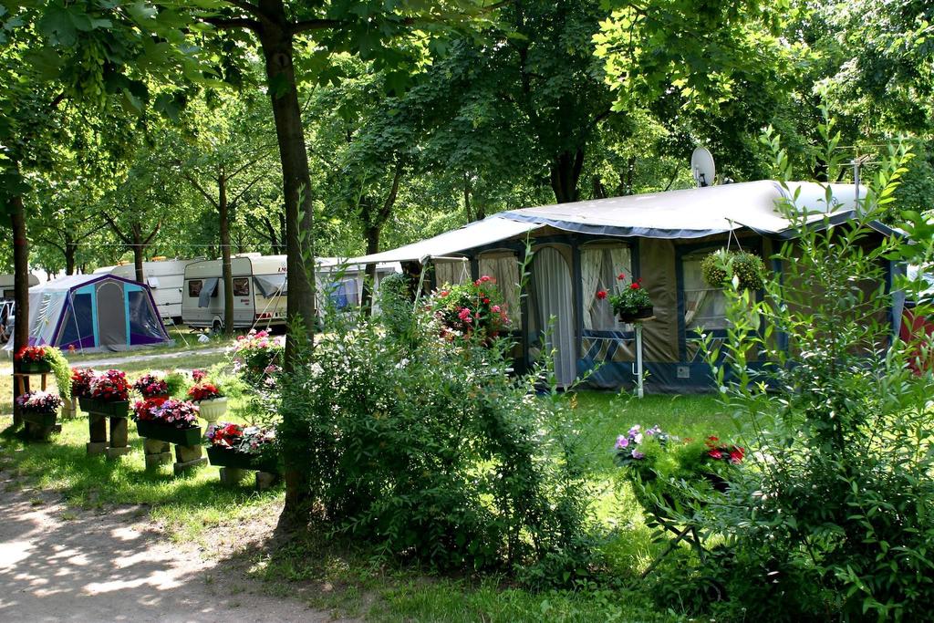Camping