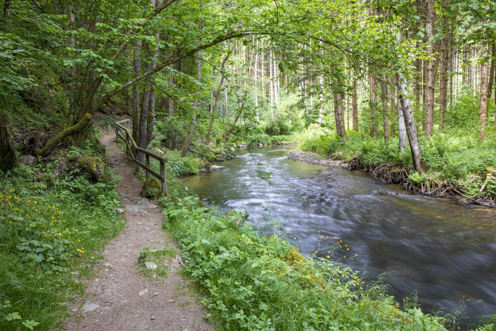 Naturerlebnisweg Haslach