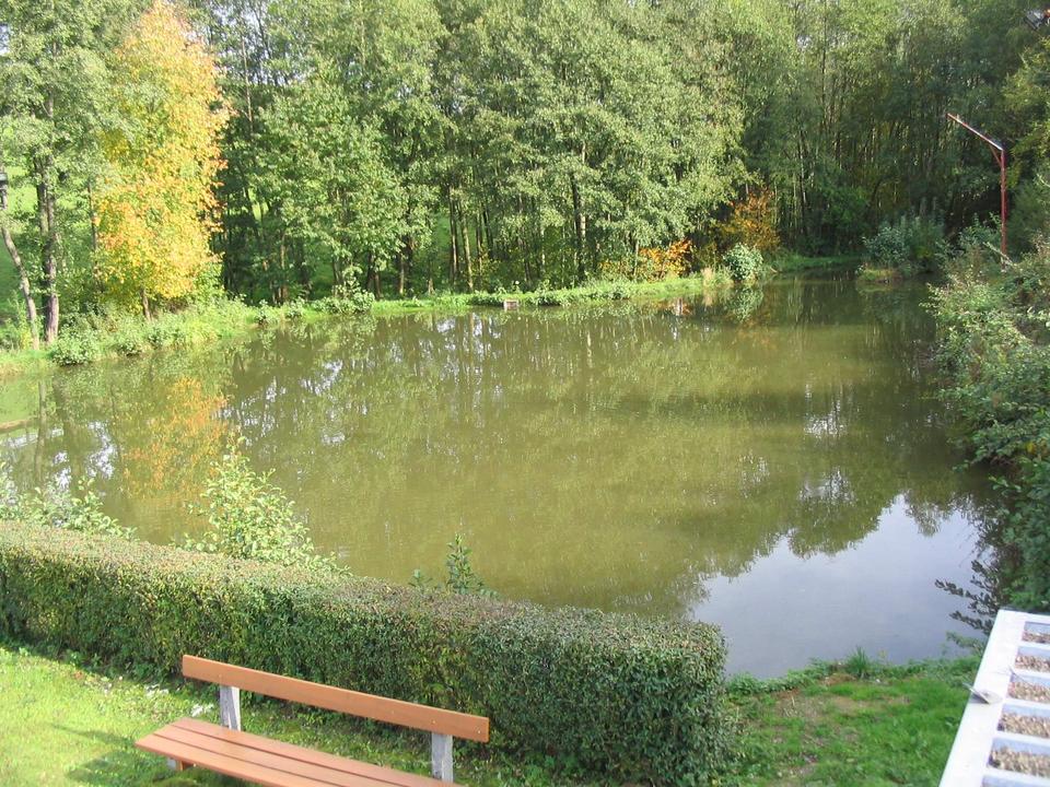Naturteich