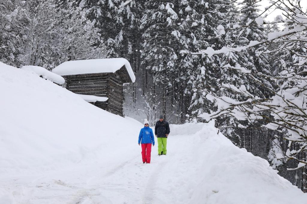 Winterwandern
