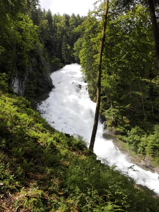 Winnerfall