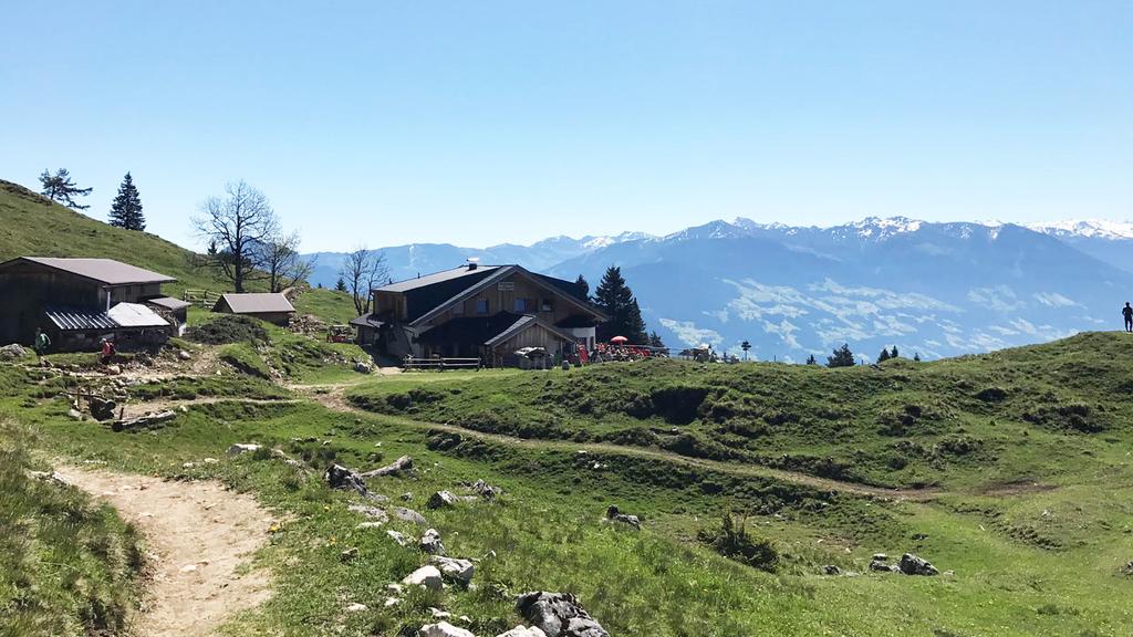 Blick zur Astenau Alpe von der Buchauer Alm kommend