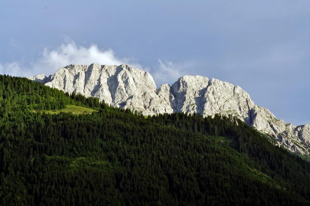 Hinter der Pließalm erhebt sich der mächtige Reißkofel.