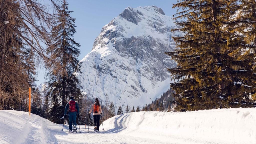 Schneeschuhtour in Richtung Gramai - kurz nach der Falzthurnalm