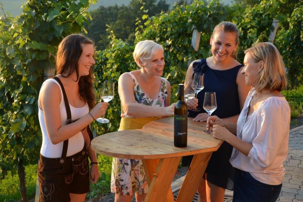Weingut Assigal_