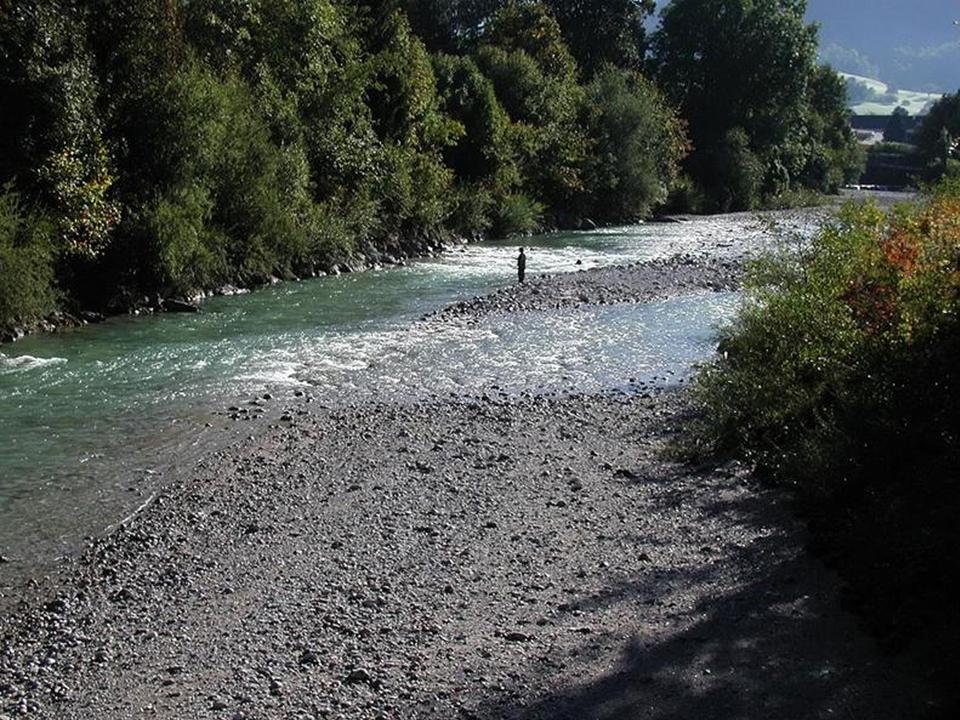 Fischen in der Alm